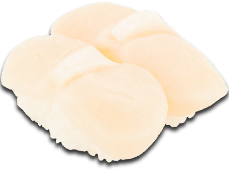 Hotate (Scallop)