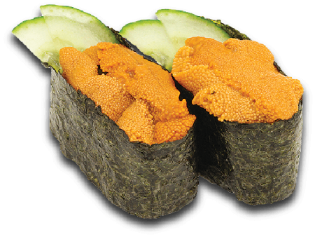 Uni Ship (Sea Urchin)