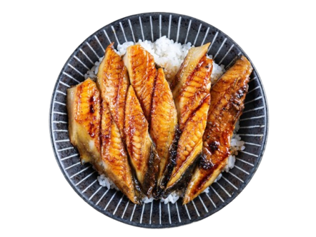 Unagi (Eel) Rice Bowl (I)